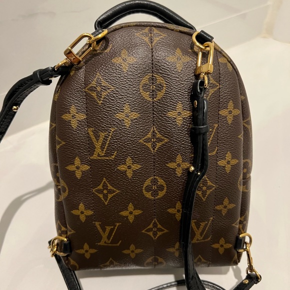 ✨Louis Vuitton LV Palm Springs Mini Monogram Backpack - Picture 2 of 10